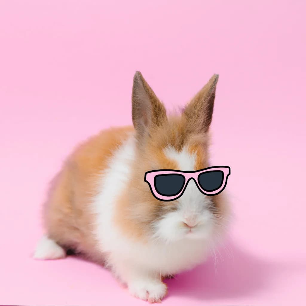 cool braided bunny mascot with sunglasses/shades